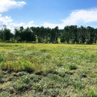 Cowboy Heaven images 5