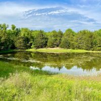 112 Acre Multi-Use Recreational Tract for Sale Lyon County images 3