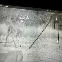 112 Acre Multi-Use Recreational Tract for Sale Lyon County images 5
