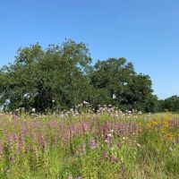 New Listing 24 Acres Home Brown County images 3