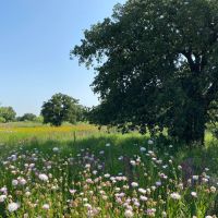 New Listing 24 Acres Home Brown County images 4
