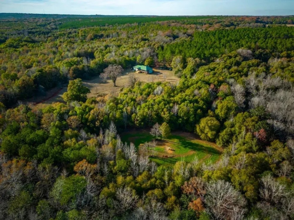 Hodchodkee Creek Lodge featured image