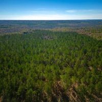 Hodchodkee Creek Lodge images 4