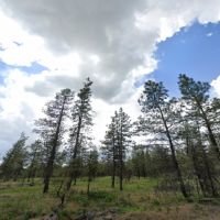 23204 s cheney spangle rd