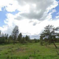 Area land 1