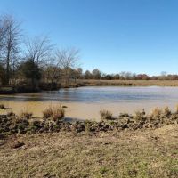 240 ACRES DUAL RANCH AND RECREATIONAL WEST images 2