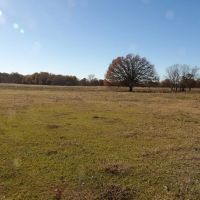 240 ACRES DUAL RANCH AND RECREATIONAL WEST images 3