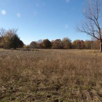 240 ACRES DUAL RANCH AND RECREATIONAL WEST images 5