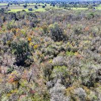 92 Acres 2932 FM 1462 images 3