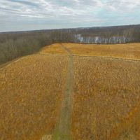 93 - acres Lake Palestine Kosciusko County Lake Frontage Recreational Development Potential images 5