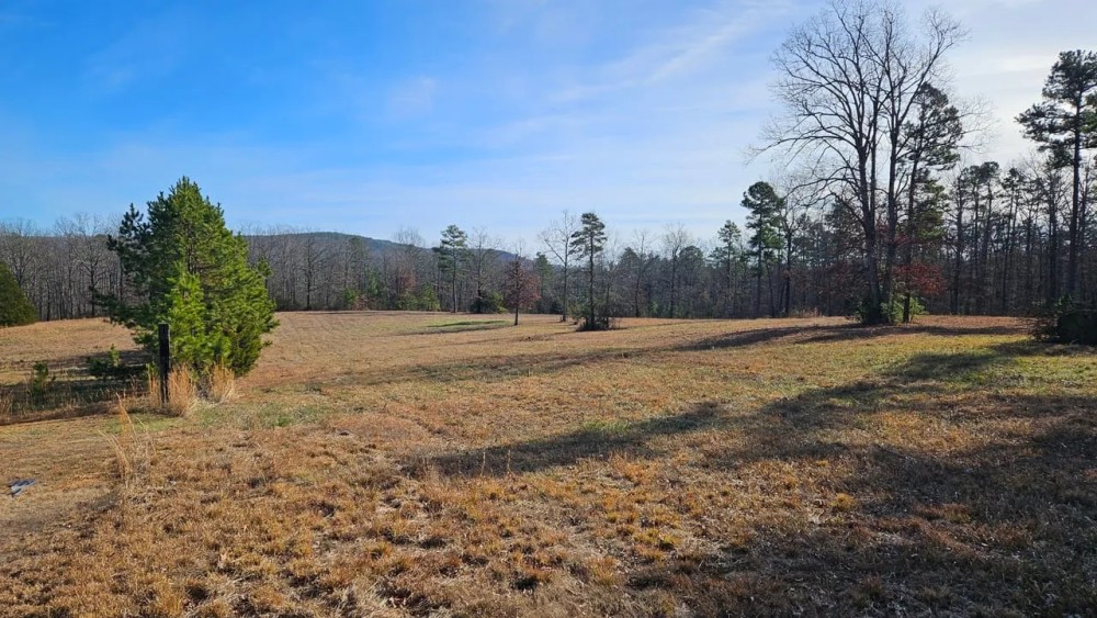 Van Buren County - 10 acres featured image