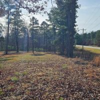 Van Buren County - 10 acres images 3