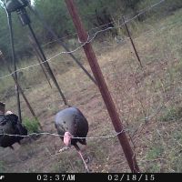 Circle R Ranch