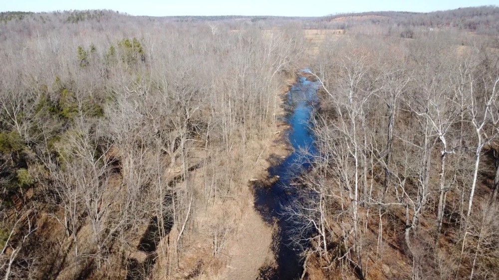 40 - Acres with Live Water For Sale in Butler County MO featured image