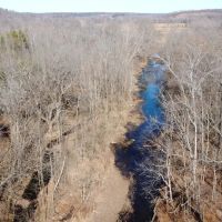 40 - Acres with Live Water For Sale in Butler County MO