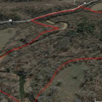 40 - Acres with Live Water For Sale in Butler County MO images 3