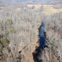 40 - Acres with Live Water For Sale in Butler County MO images 4