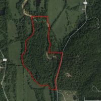 40 - Acres with Live Water For Sale in Butler County MO images 5