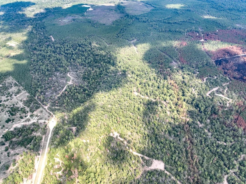 409 Acres Cedar Ridge Road T-3 featured image