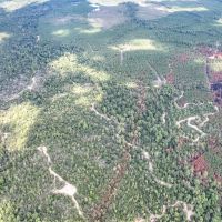 409 Acres Cedar Ridge Road T-3 images 2