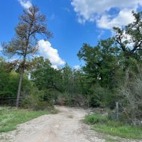 409 Acres Cedar Ridge Road T-3 images 3