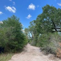 409 Acres Cedar Ridge Road T-3 images 4