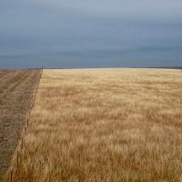 Fort Supply Lake 80 images 4