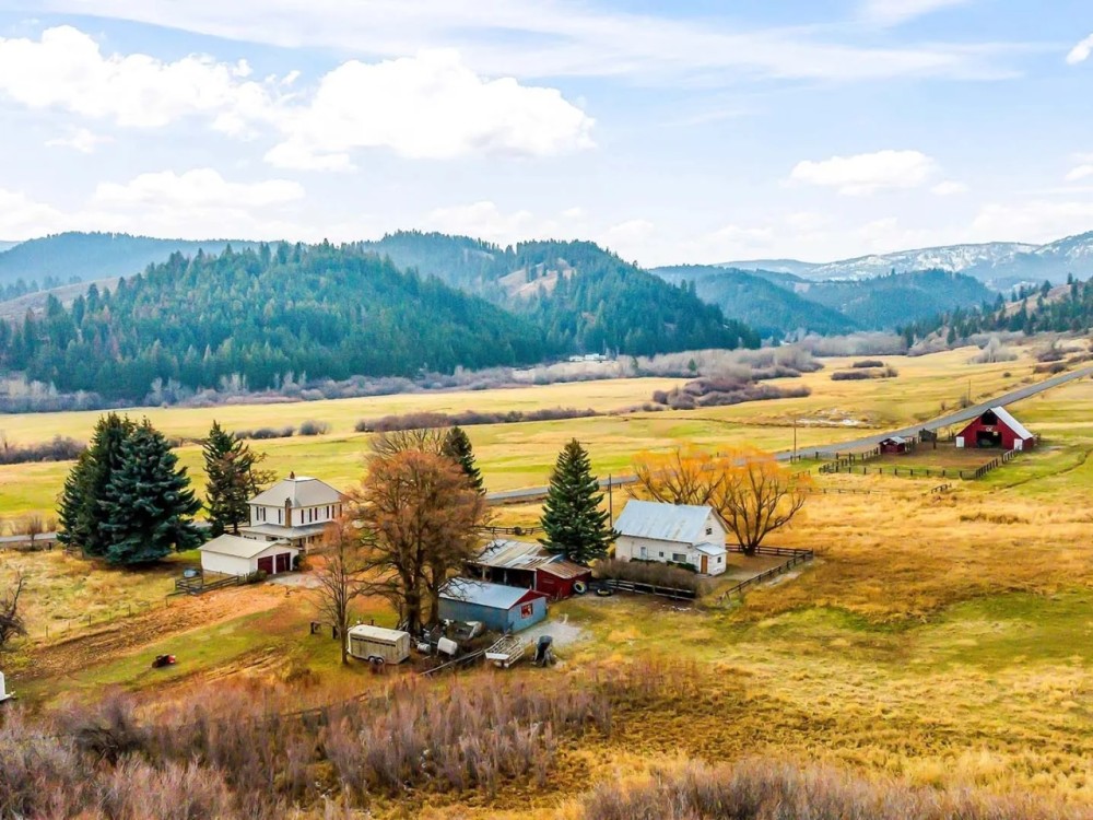 OK Ranch featured image