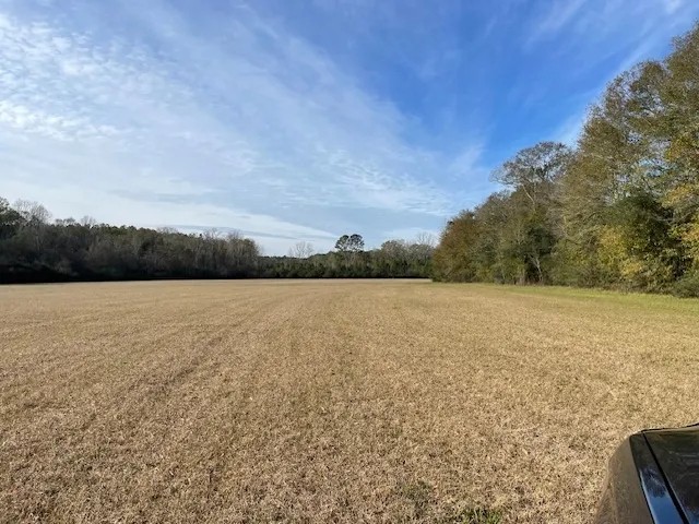 40 Acres w Creek featured image