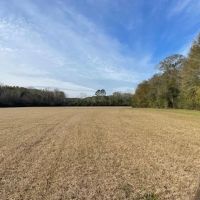 40 Acres w Creek