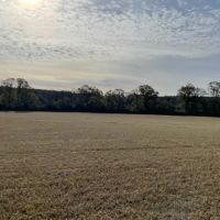 40 Acres w Creek images 2