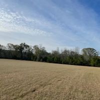 40 Acres w Creek images 3