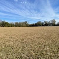 40 Acres w Creek images 4