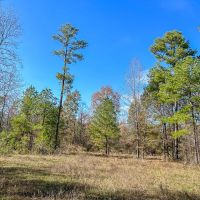 23 Acres FM 1374 images 3