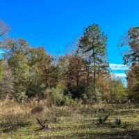 23 Acres FM 1374 images 5