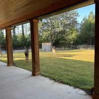 Turn Key Hunting Preserve With Newly Build Lodge images 3