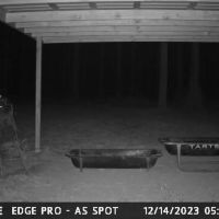 Turn Key Hunting Preserve With Newly Build Lodge images 5