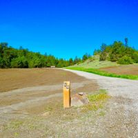 Pristine Woodland Oasis images 4