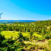 Pristine Woodland Oasis images 5