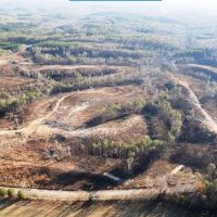 Franklin County Alabama 34.5 acres near Little Bear Creek