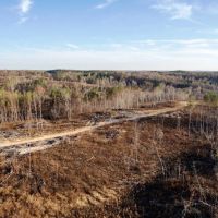 Franklin County Alabama 34.5 acres near Little Bear Creek images 2