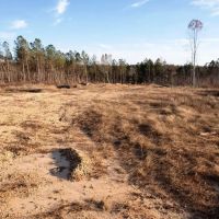 Franklin County Alabama 34.5 acres near Little Bear Creek images 4
