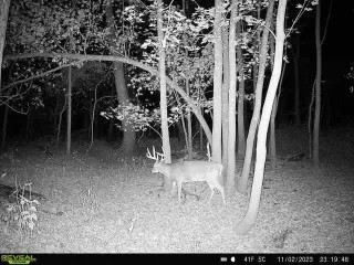 000 Tune Road Breese IL 62230 featured image