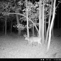 000 Tune Road Breese IL 62230