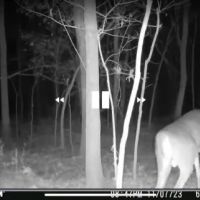 000 Tune Road Breese IL 62230 images 4