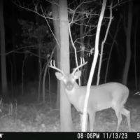 000 Tune Road Breese IL 62230 images 5