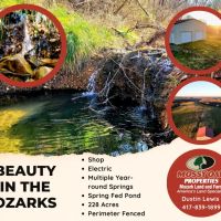 Beauty in the Ozarks images 2