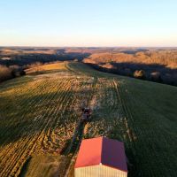 Beauty in the Ozarks images 3