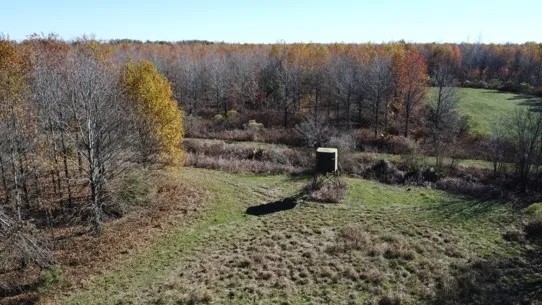 451 Acres in Madison Parish in Tallulah LA featured image
