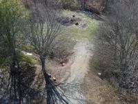 451 Acres in Madison Parish in Tallulah LA images 3